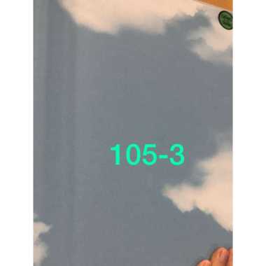 Wallpaper Dinding Motif Awan 3D 2A biru 3