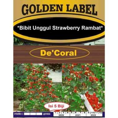 Bibit Unggul Strawberry Rambat | Benih Stroberi Rambat | Strobery
