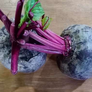 Buah Bit Beet Root 500 gram Kecil