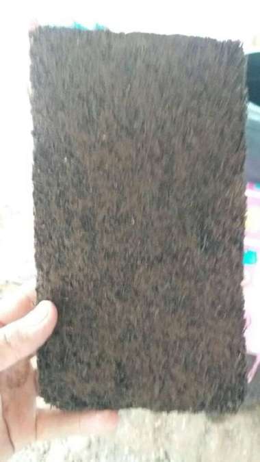akar pakis kotak