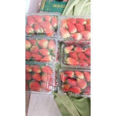 BUAH STROBERI SEGAR 250 GRAM