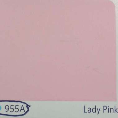 Cat Tembok 5 kg Vinilex All Colours Lady Pink