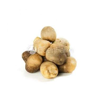 Sayur Jamur Merang Segar 1 KG