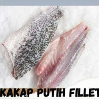 KAKAP PUTIH FILLET / BARAMUNDI FILLET PREMIUM FROZEN PER 1KG