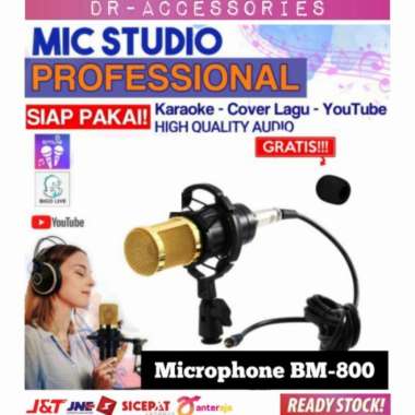 Microphone BM-800 Mikrofon Smule Condenser BM800 Shockproof Mount
