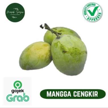 Mangga Cengkir Buah Segar 1Kg