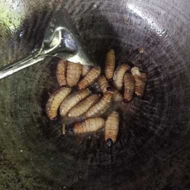 jual gorengan ulat sagu siap saji