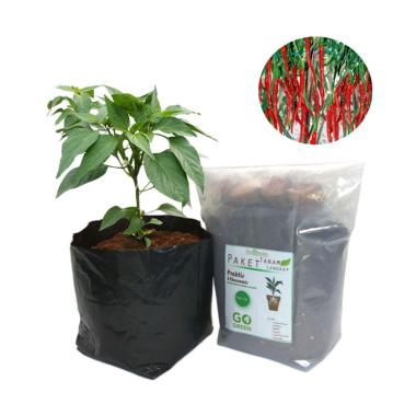 Puriegarden Cabe Keriting Paket Tanam Lengkap Model Polibag