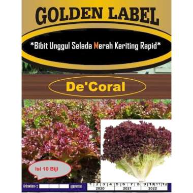 Bibit Unggul Selada Merah Keriting Rapid | Benih Selada Merah