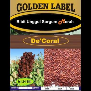 Bibit Unggul Sorgum Merah | Benih Sorgum Merah