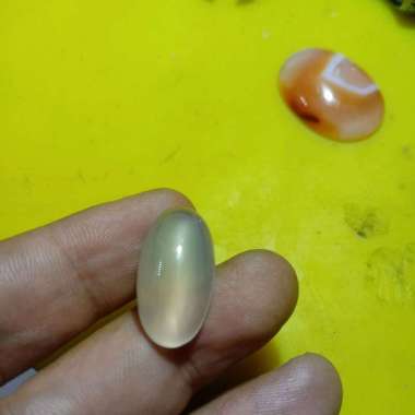 Jual Badar Emas Terbaik Februari 2022 - Harga Murah & Gratis ...