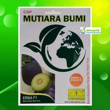 Benih Melon ERNA F1 Tahan Gemini Virus Semi Oval Cap Mutiara Bumi 40 Butir