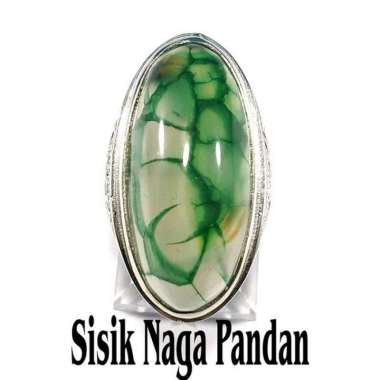 CINCIN BATU AKIK NATURAL PANDAN LUMUT SISIK NAGA HIJAU MEMPESONA GRADE AAA RING 8