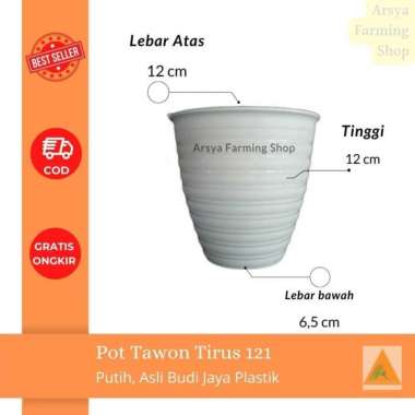 Pot Tawon Tirus 12 121 / Pot Tawon Pirus 121