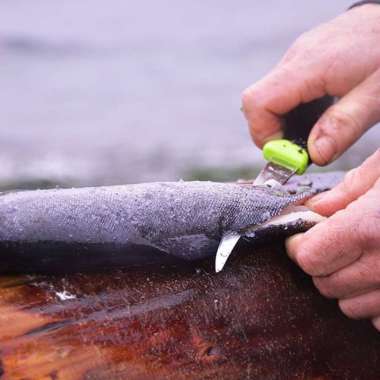 Morakniv- Fishing Comforfillet 155 - -
