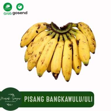 Pisang Bangka Wulu Pisang Uli 1Kg