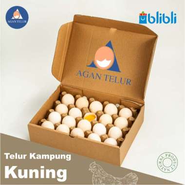 Telur Ayam Kampung asli Kuning 20 butir / Box Agan Telur