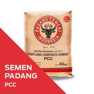 Semen Padang 40 Kg