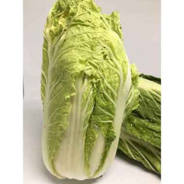 Sayur Segar Sawi Putih Segar Bersih 1kg