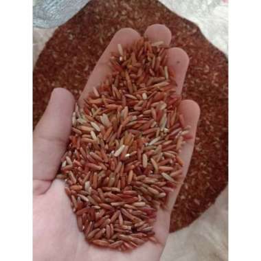 Beras Merah Curah 500 Gram