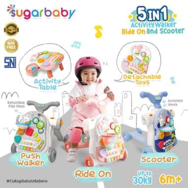 Sugarbaby 5in1 Activity Walker, Ride-On and Scooter/Push walker grey