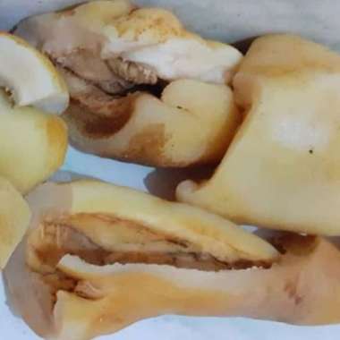 KIKIL SAPI TEBAL SUDAH REBUS