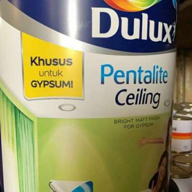 DULUX PENTALITE CEILING PAIL 25KG - WHITE SUPERMATT 108 / CAT GYPSUM