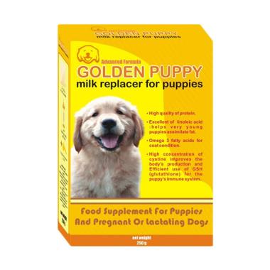 Anak Anjing Golden Puppy Jual Produk Terbaru Desember 2019