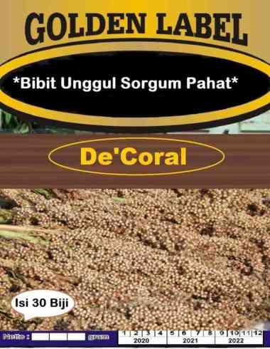 Bibit Unggul Sorgum Pahat | Benih Sorgum Pahat