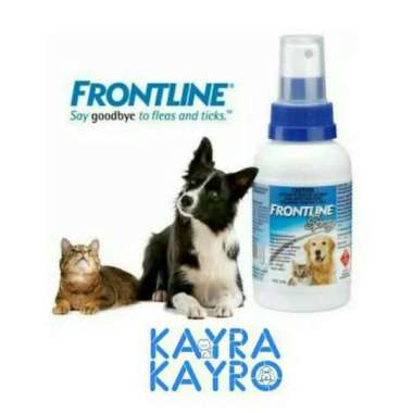 frontline homeguard flea spray