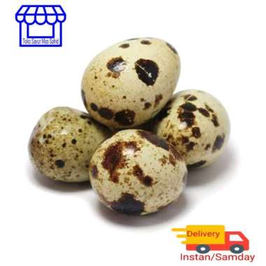 Telor Puyuh [ 250 gram ]