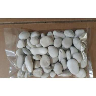 Batu Hias Ampar putih Untuk Taman