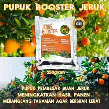 Pupuk Booster Jeruk Pelebat Buah Pupuk Pelebat Jeruk Mikro Booster