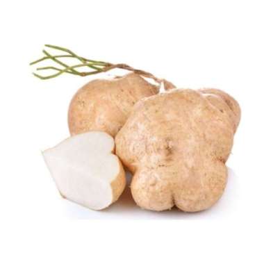 Bengkoang Segar 1 Buah