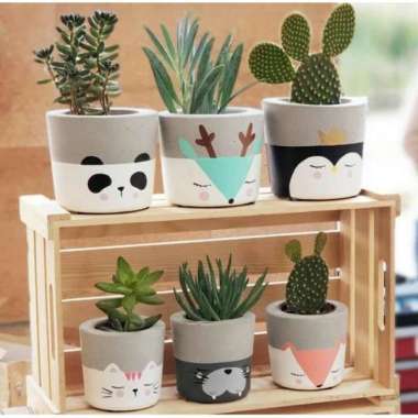 PAKET TANAMAN HIAS KAKTUS SUKULEN CACTUS SUCCULENTS + POT LUKIS MOTIF ANIMAL CLAYPOT TANAH LIAT GERA