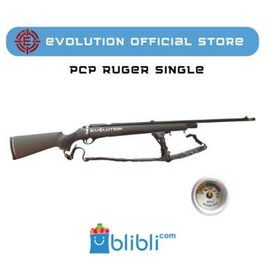 Evolution - PCP Ruger BIG Game Single