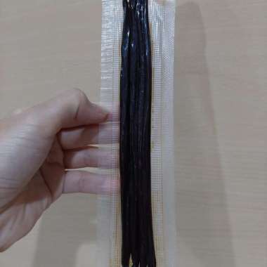 Vanilla Bean Planifolia 20 Gram