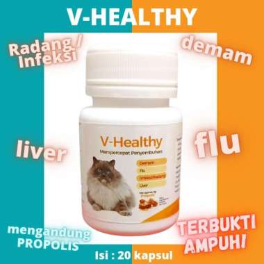 V-Healthy Vitamin Kucing Flu Demam Liver