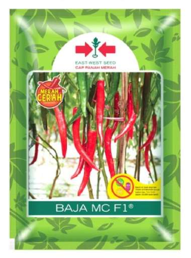 Benih Cabai Besar BAJA MC F1 125 Butir Cap Panah Merah