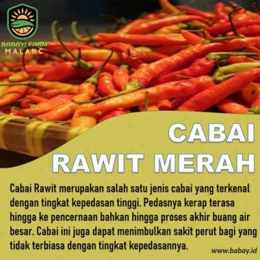 Cabe Rawit Merah / Cabai Rawit Merah 1 KG