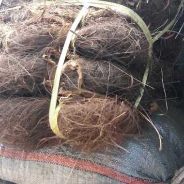 Tali Ijuk Halus//Ijuk Resapan