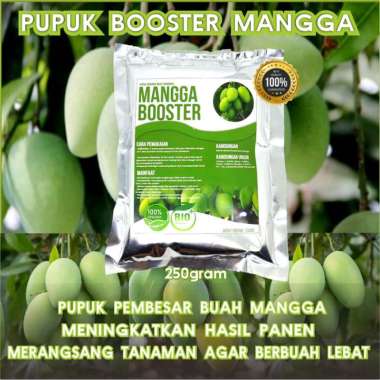 Pupuk Booster Mangga Pelebat Buah Pupuk Pelebat Mangga Mikro Booster