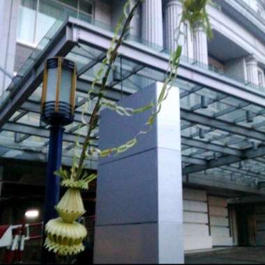 Janur Kelapa Pernikahsn