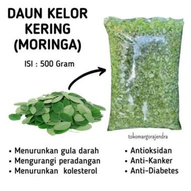 Daun Kelor Segar Teh Daun Kelor Daun Kering / Teh