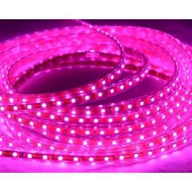 LED Strip Lampu Selang Kotak SMD 5050 1 meter/Selang Bening Kotak Ungu