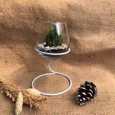 TERRARIUM MEDIUM STANDING TATAKAN BUNGA HIAS KAKTUS SUKULEN TANAMAN HIAS PENGHIAS TAMAN DEKORASI RUM