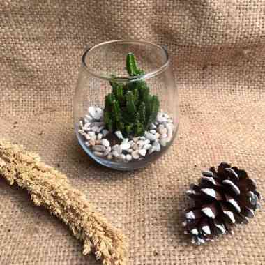 TERRARIUM MEDIUM STANDING TATAKAN BUNGA HIAS KAKTUS SUKULEN TANAMAN HIAS PENGHIAS TAMAN DEKORASI RUM