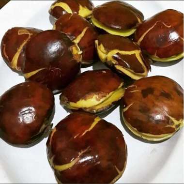 Jengkol Tua [1 kg]