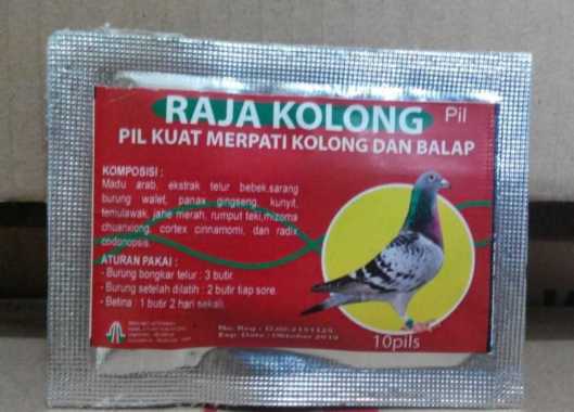 RAJA KOLONG - Pil Kuat Burung Merpati Kolong & Balap