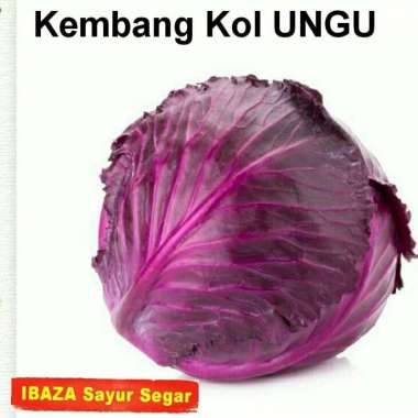 KOBIS UNGU/ KOL UNGU Sayur Segar IBAZA fruitsBOX